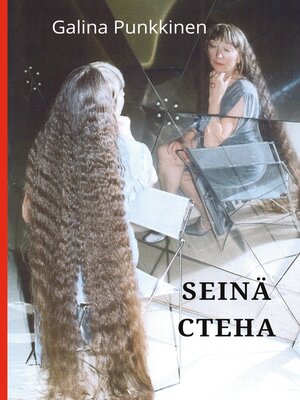 cover image of Seinä